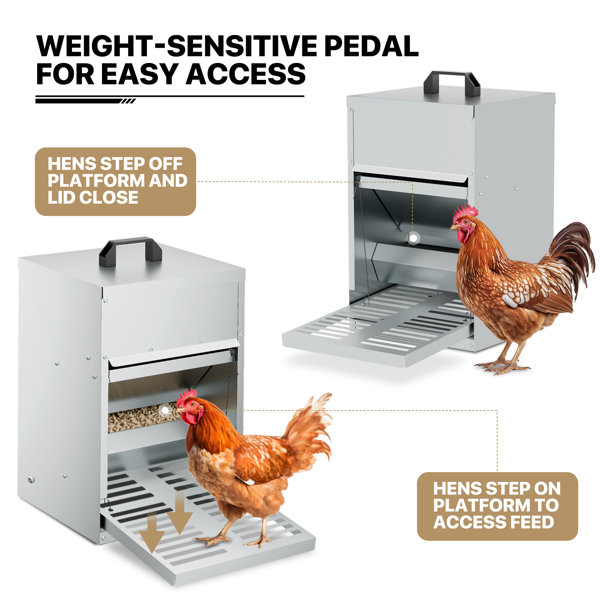 Tucker Murphy Pet™ Eadmund Automatic Chicken Chook Feeder Galvanized